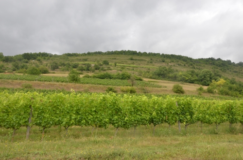 ariège,niaux,vicdessos,bassiès,pamiers,foix,tarascon sur ariège,montségur,engraviès,malepère,mas de mon père,frédéric palacios