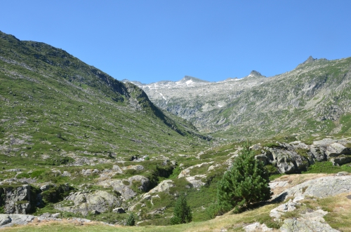 ariège,niaux,vicdessos,bassiès,pamiers,foix,tarascon sur ariège,montségur,engraviès,malepère,mas de mon père,frédéric palacios