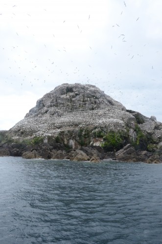 breizh,bretagne,auberge des glazicks,belle-isle,kaerilis,whisky breton,la tourelle,trébeurden,lannion,côte de granit rose,saint-malo,rothéneuf,cancale