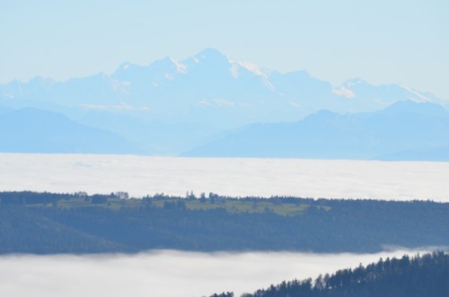 vendredis du vin,gringet,dominique belluard,les alpes,ayze