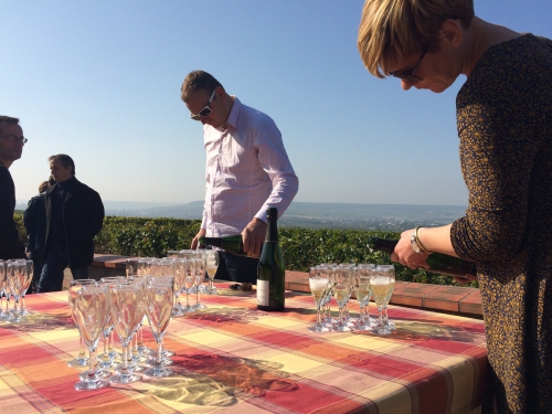 reims,champagne,racine,kazu tanaka,delphine et francis boulard,fundovino,bérèche et fils