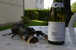 Suchet_homard_027