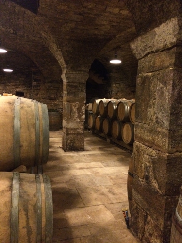 domaine de la tournelle,evelyne et pascal clairet,arbois,jura,mimi fifi glouglou,michel tolmer