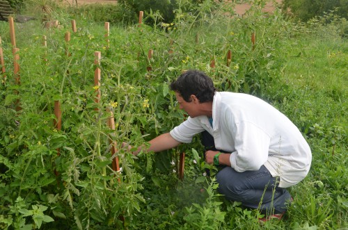 stéphanie roussel,lassolle,côtes du marmandais,romestaing,ad naturam