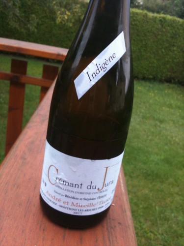 domaine de l'anglore,éric pfifferling,côtes du rhône,2009,indigène,crémant du jura, stéphane tissot