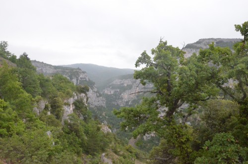 ventoux,olivier b.,philippe gimel,les amidyves,saint-jean du barroux,carpentras,chez serge