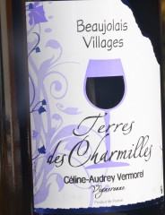 beaujolais,beaujolais nouveau,beaujolais-villages,vauxrenard,michel guignier,domaine des côtes de la molière,isabelle perraud,lilian bauchet,château des bachelards,domaine de la fully,céline-audrey vermorel