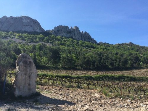 ventoux,dentelles de montmirail,grihète,nyons,olivier b.,nez,gigondas