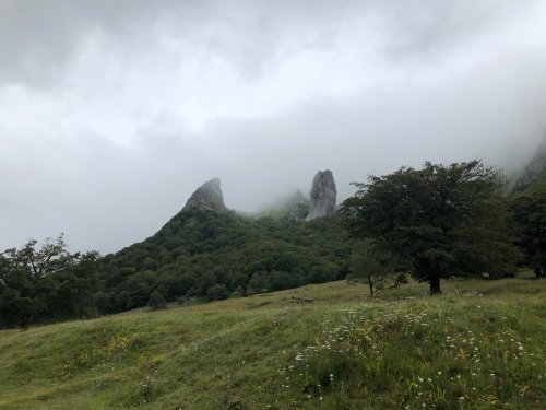 auvergne,sancy,domaine miolanne,saint-eutrope,harry lester