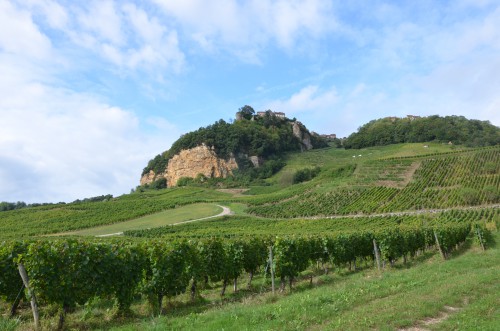 château chalon,jura,gabrielle rizzi,le progrès,puits saint-pierre,macle,côtes du jura