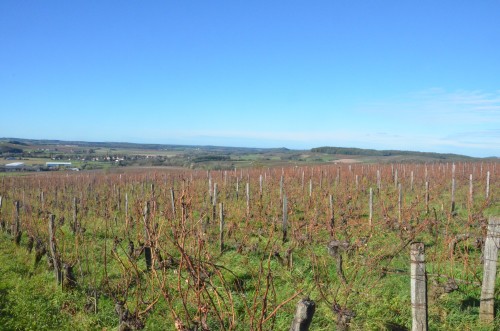 saint-glou,jura,salins les bains,maison salines,stéphane tissot,jardins de saint-vincent,ganevat,macle,château chalon,overnoy-houillon,pupillin,renaud bruyère,domaine des bodines,alexis porteret,domaine de l'octavin,charles dagand