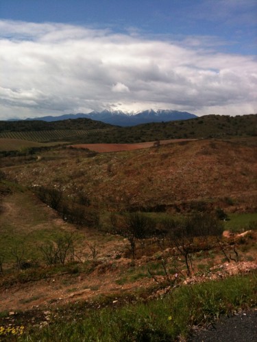 calce,jean-philippe padié,côtes du roussillon,côtes du roussillon-villages