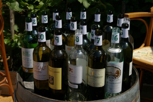 pessac-léognan,graves,revevin,bordeaux blanc