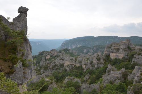 la caylar,escarpolette ivo,mas coris,languedoc,bédarieux,chai christine cannac