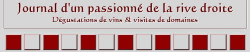 michel bettane,blogs vin,bloglouglou,