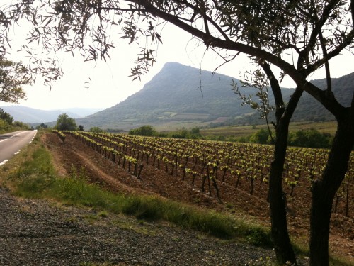 languedoc,cabrières,bédarieux,lisson,mas coutelou,domaine de la banjoulière,mas jullien,chai christine cannac,clos romain,