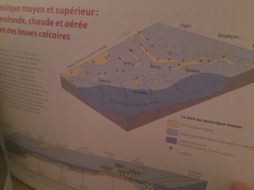 terrois viticole du jura,michel campy,metajura