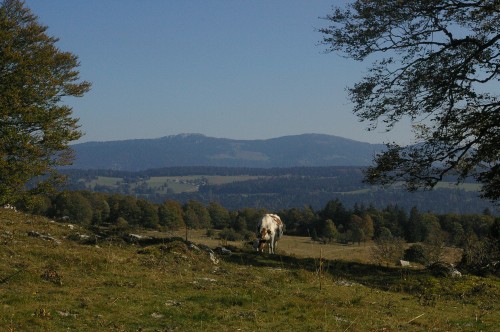 le gounefay,larmont,pontarlier,ferme des miroirs,tonton vernier,