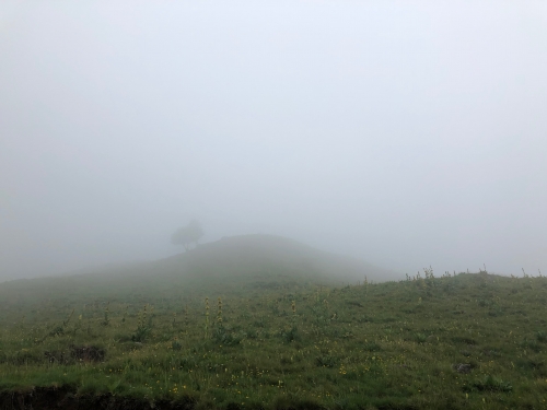 monts du cantal,puy mary,salers,le falgoux,épicerie de dienne,auberge de chassignoles,badoulin,stephan elzière