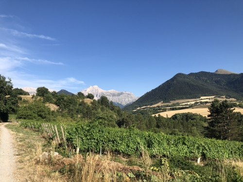 trièves,dévoluy,domaine de l'obiou,les p'tits ballons,domaine des hautes glaces