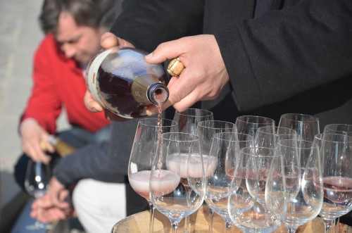 champagne,terres et vins de champagne,vincent laval,marie-noëlle ledru,aÿ,épernay,reims,étienne goutorbe,david léclapart,benoit lahaye,benoit tarlant,francis boulard