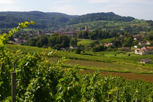 saint-glou,jura,salins les bains,maison salines,stéphane tissot,jardins de saint-vincent,ganevat,macle,château chalon,overnoy-houillon,pupillin,renaud bruyère,domaine des bodines,alexis porteret,domaine de l'octavin,charles dagand