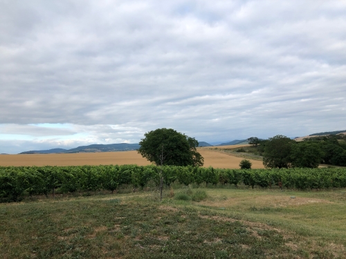 auvergne,sancy,domaine miolanne,saint-eutrope,harry lester