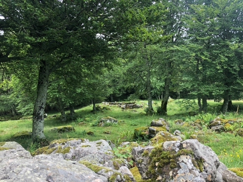 monts du cantal,puy mary,salers,le falgoux,épicerie de dienne,auberge de chassignoles,badoulin,stephan elzière