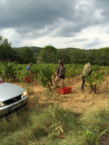 cévennes,olivier privat,renaud berthoud,mazet des crozes,la glacière,les vins des lys,uzès,duché d'uzès,le tracteur