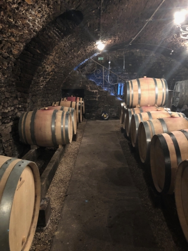 aymé vadim,vadim sidorovitch,bourgogne,gevrey-chambertin