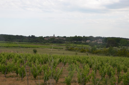 catherine bernard,hérault,languedoc,