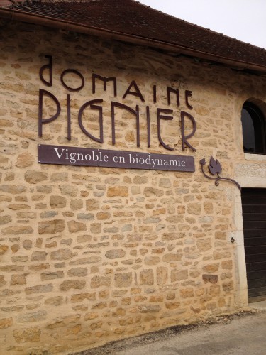 montaigu,jura,côtes du jura,domaine pignier