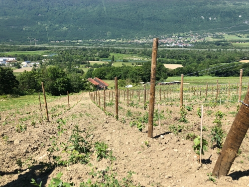 chautagne,marie et vincent curtet,jacques maillet,autrement,savoie