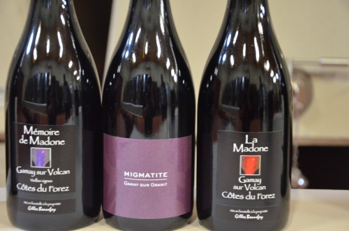 côtes roannaises,côtes du forez,domaine des pothiers,romain paire,gilles bonnefoy,domaine de la madone,vin & pic,gamay saint-romain,