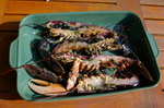 Suchet_homard_031