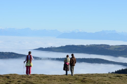 vendredis du vin,gringet,dominique belluard,les alpes,ayze