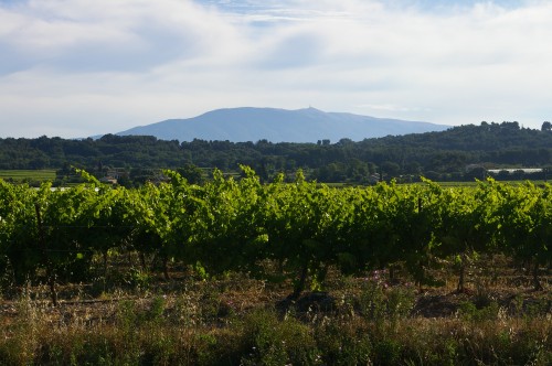 mont ventoux,ventoux,olivier b.,philippe gimel,saint-jean du barroux,les amidyves