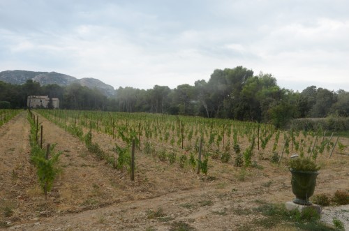 henri milan,domaine milan,théophile milan,la galine, saint-rémy de provence,baux de provence,