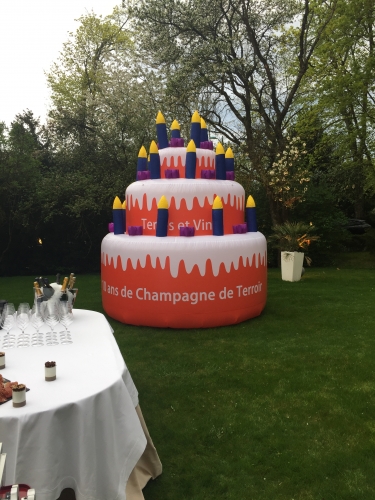 terres et vins de champagne,reims,printemps des champagnes