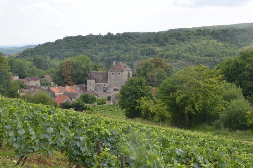 dominique derain,biodynamie,saint-aubin,bourgogne,les bans